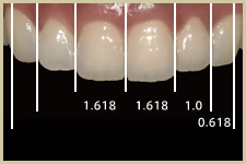 理想的な前歯のバランス